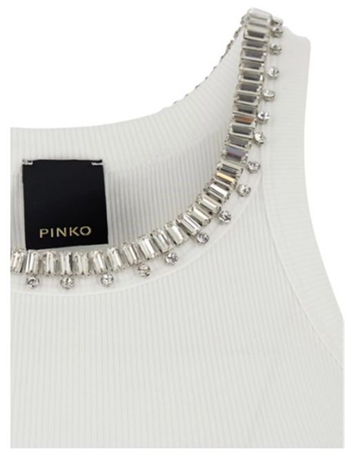  PINKO | 107303-A3I5-Z14