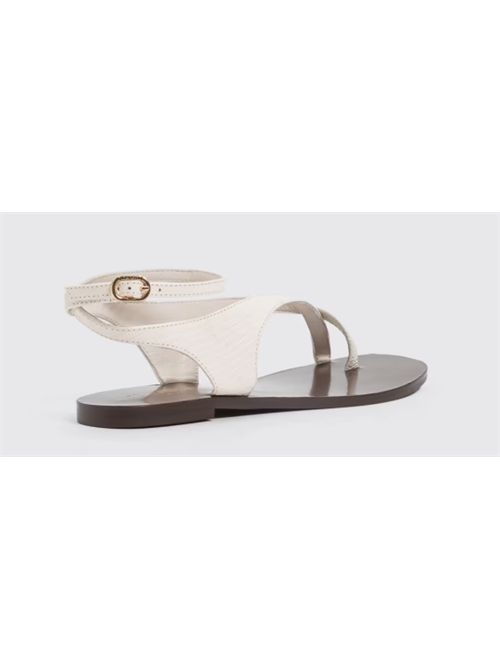 Sandalo ad infradito in pelle stampa lucertola Twinset TWINSET | 261TGT01613533